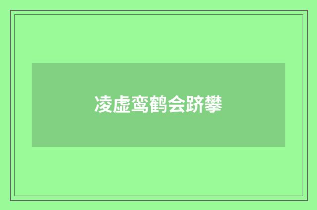 凌虚鸾鹤会跻攀