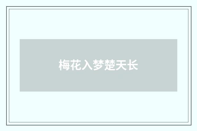 梅花入梦楚天长