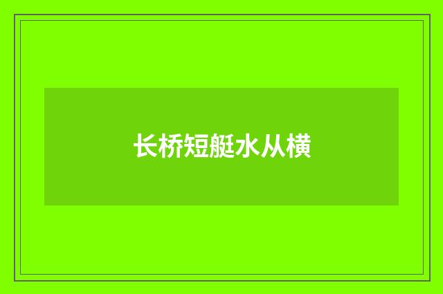 长桥短艇水从横