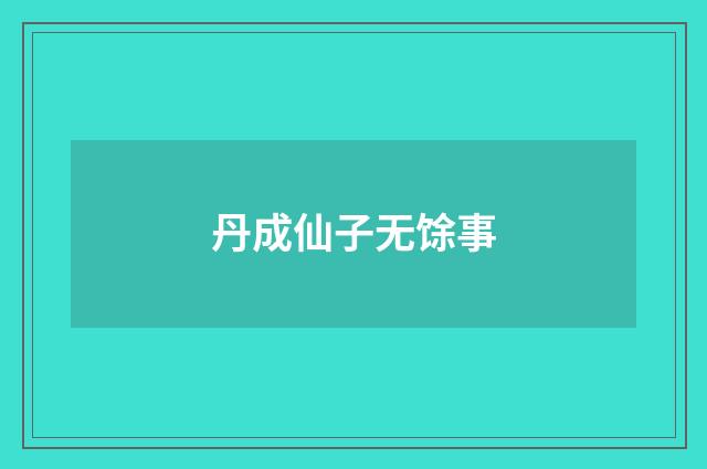丹成仙子无馀事