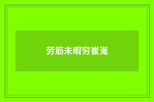 劳筋未暇穷崔嵬