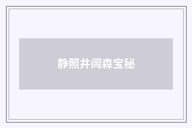 静照井闾森宝秘