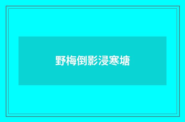 野梅倒影浸寒塘