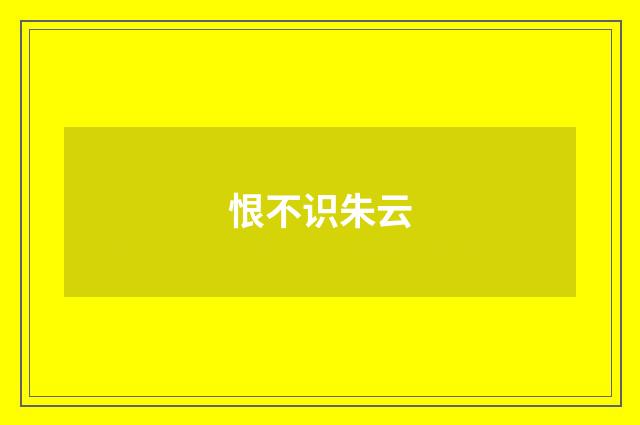 恨不识朱云