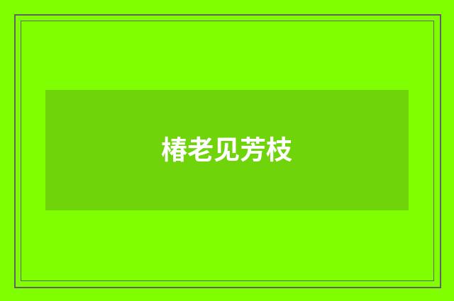 椿老见芳枝