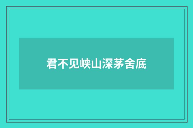 君不见峡山深茅舍底