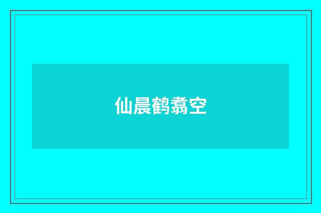 仙晨鹤翥空