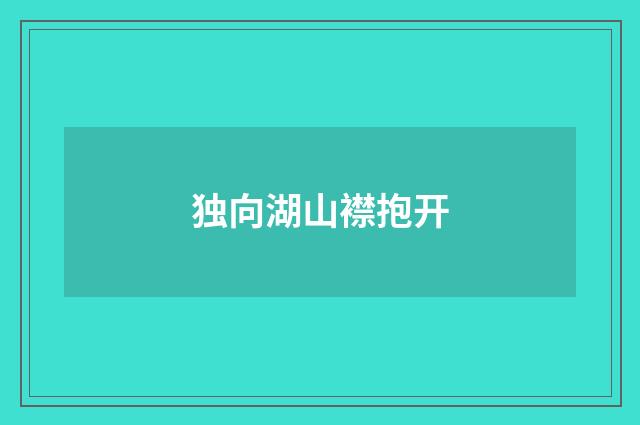 独向湖山襟抱开