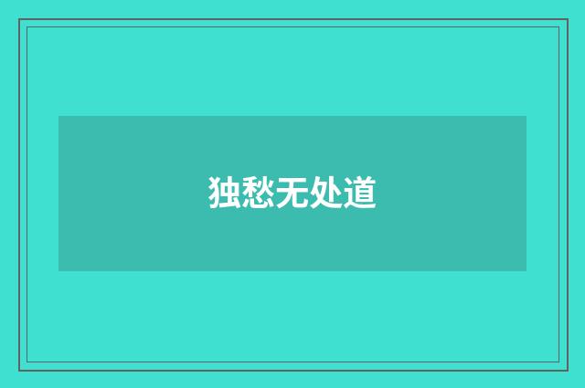 独愁无处道
