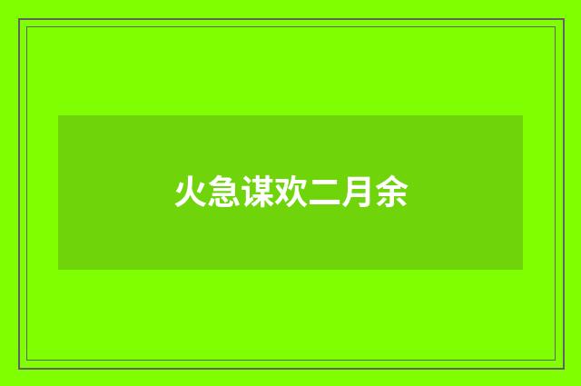 火急谋欢二月余