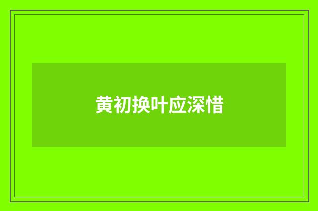 黄初换叶应深惜