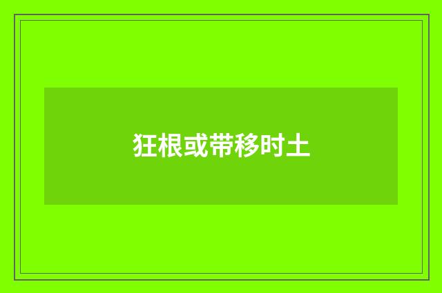 狂根或带移时土