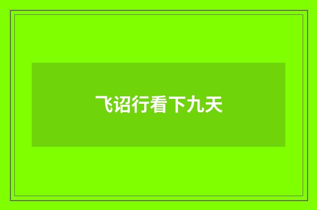 飞诏行看下九天
