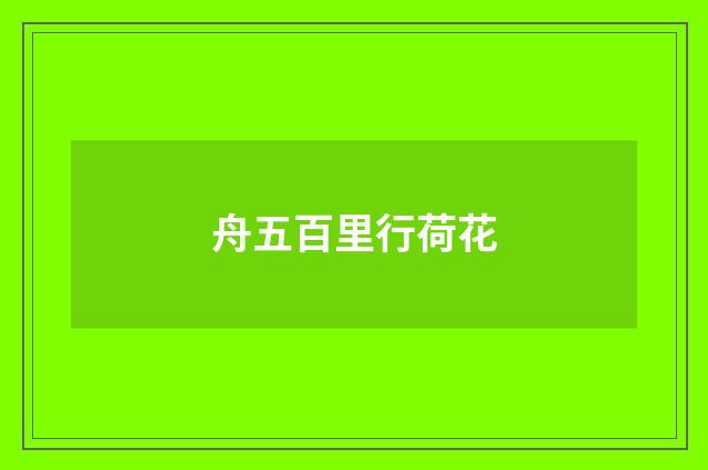舟五百里行荷花