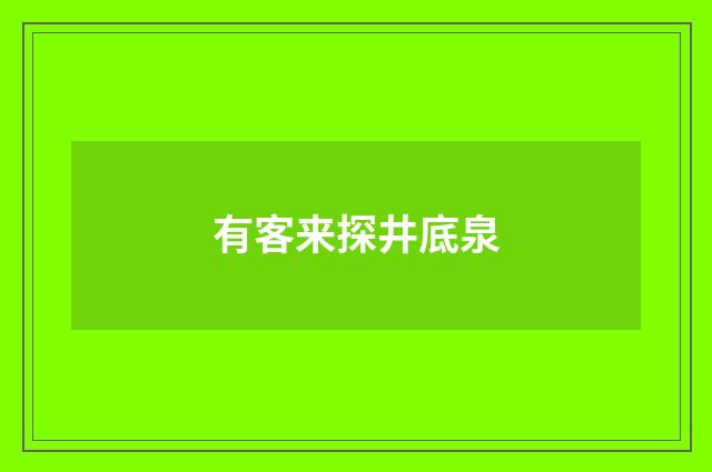 有客来探井底泉