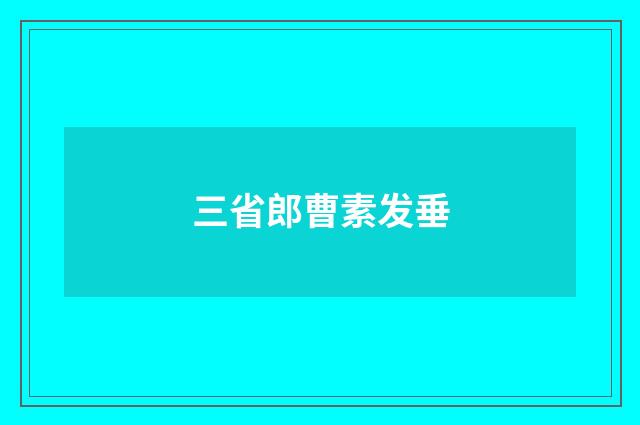 三省郎曹素发垂