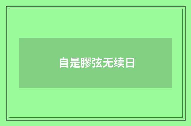 自是膠弦无续日