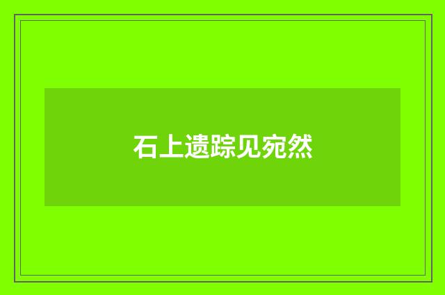 石上遗踪见宛然