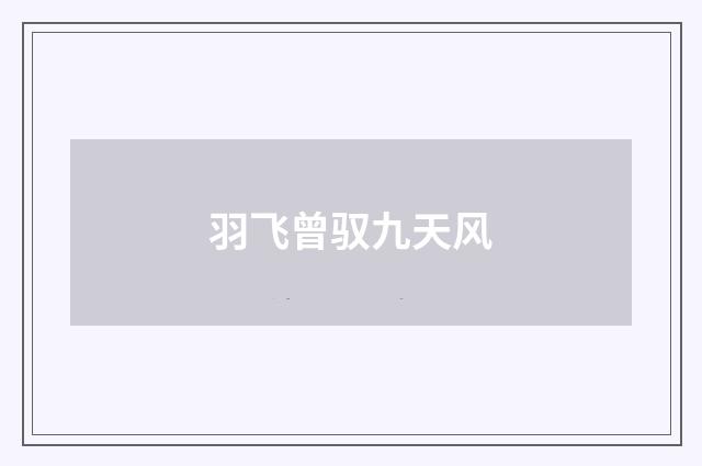 羽飞曾驭九天风