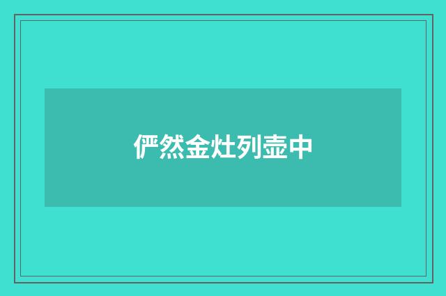 俨然金灶列壶中