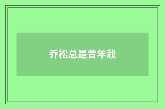 乔松总是昔年栽