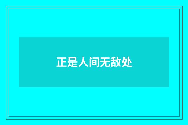 正是人间无敌处