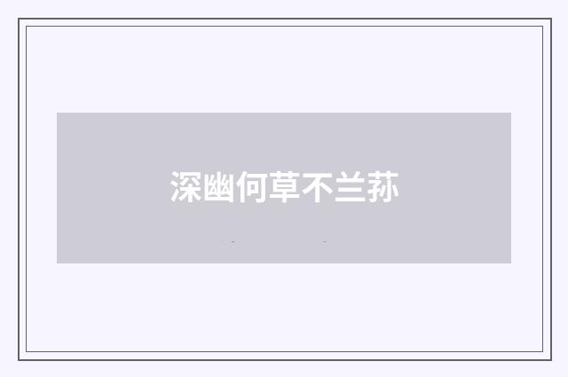 深幽何草不兰荪