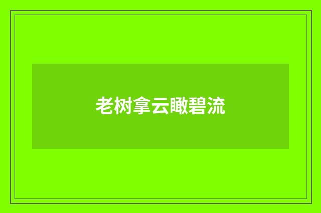 老树拿云瞰碧流