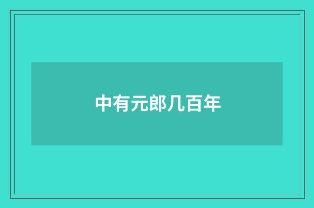 中有元郎几百年
