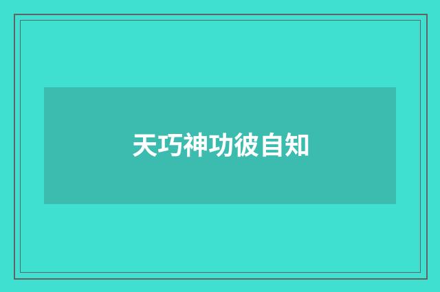 天巧神功彼自知