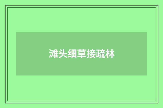 滩头细草接疏林