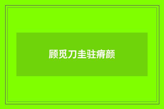顾觅刀圭驻瘠颜