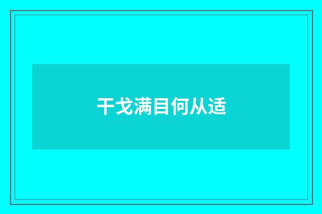 干戈满目何从适