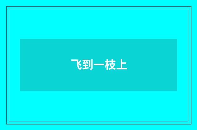 飞到一枝上