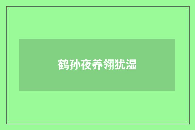 鹤孙夜养翎犹湿