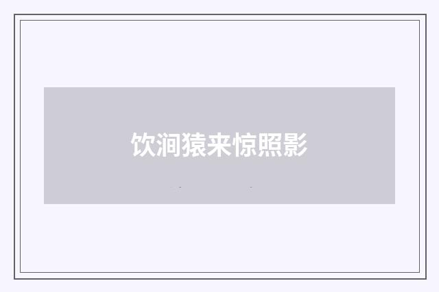 饮涧猿来惊照影
