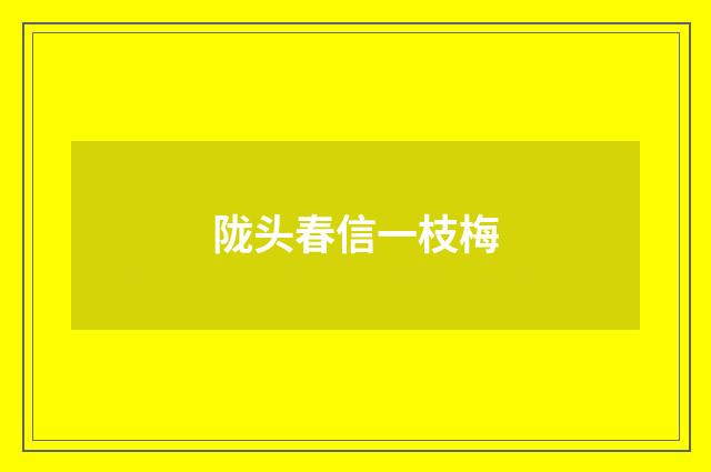 陇头春信一枝梅