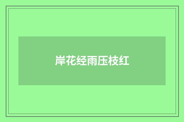 岸花经雨压枝红