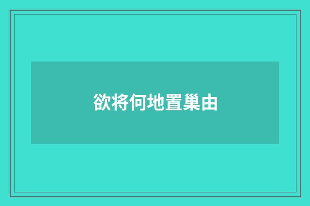 欲将何地置巢由