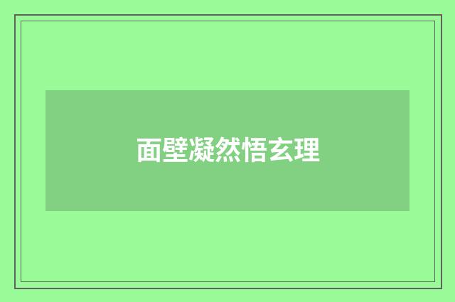 面壁凝然悟玄理