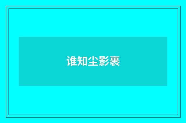 谁知尘影裹