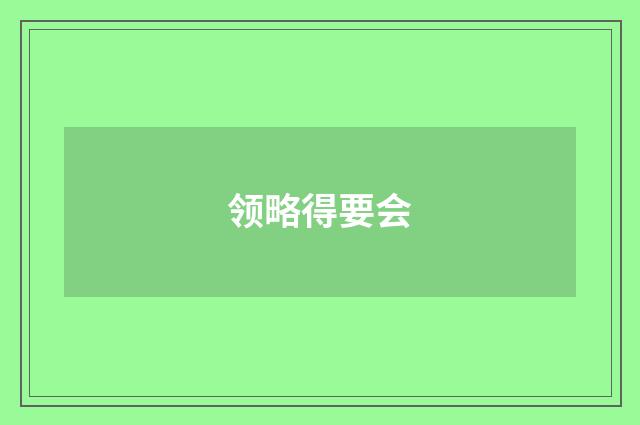 领略得要会