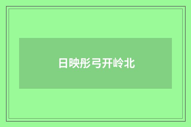日映彤弓开岭北