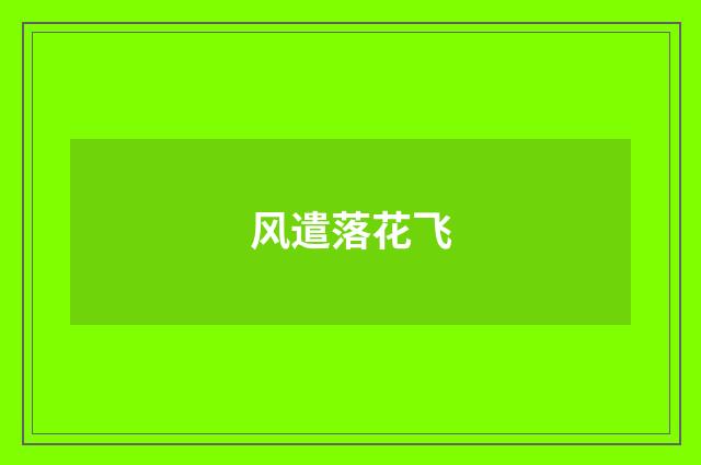风遣落花飞