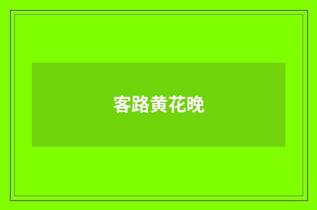 客路黄花晚