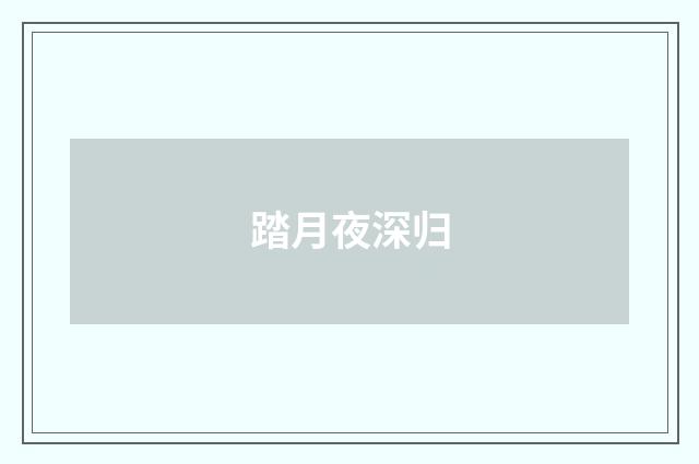 踏月夜深归