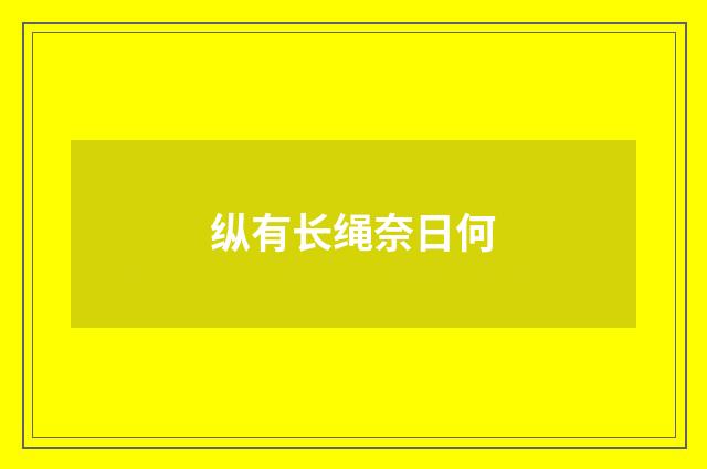 纵有长绳奈日何