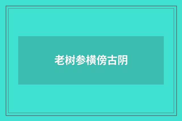 老树参横傍古阴