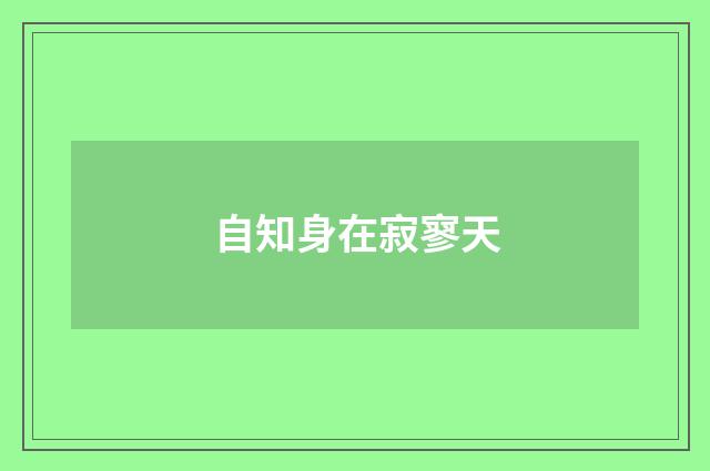 自知身在寂寥天