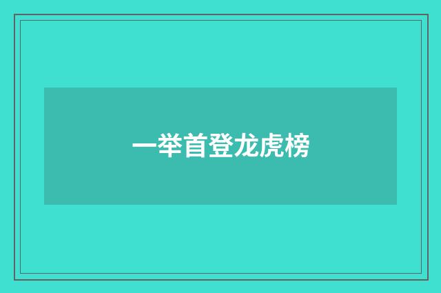 一举首登龙虎榜